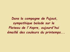 26.05.27 pujaut
